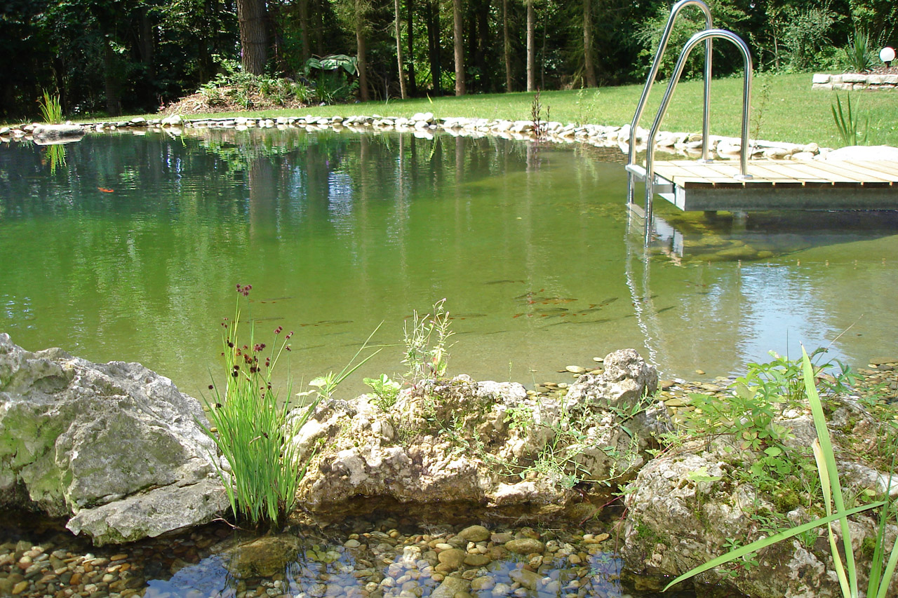 Gartenanlage mit Schwimmteich in Lichtenfels